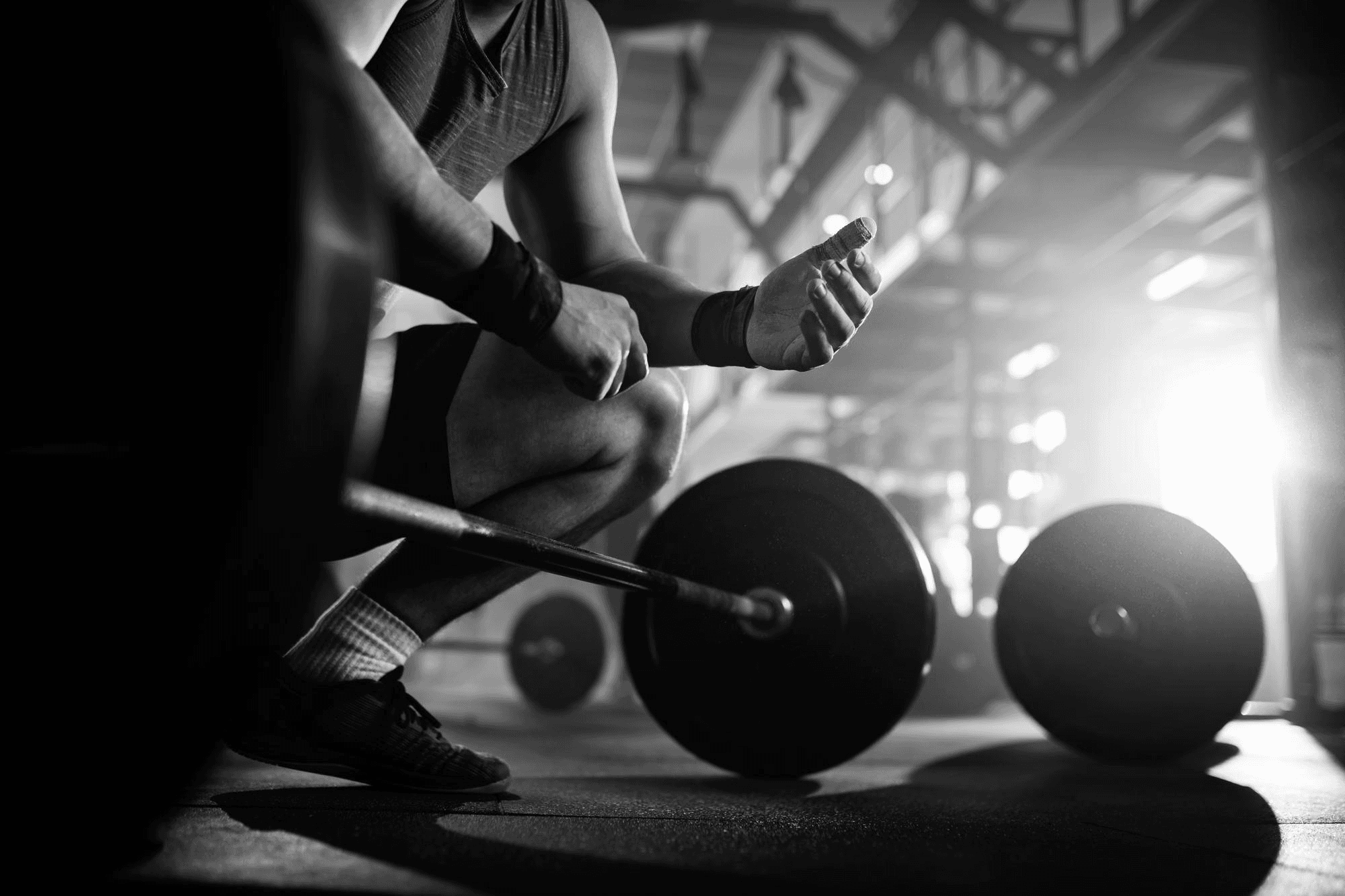 The Undisputed Workout
